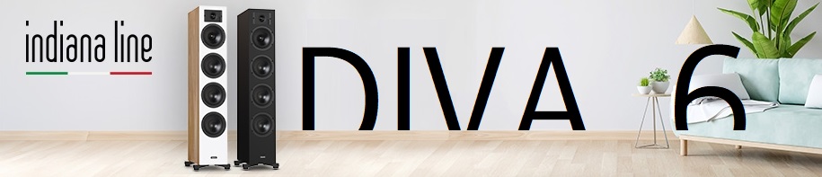 diva 6